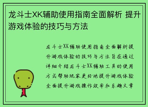 龙斗士XK辅助使用指南全面解析 提升游戏体验的技巧与方法